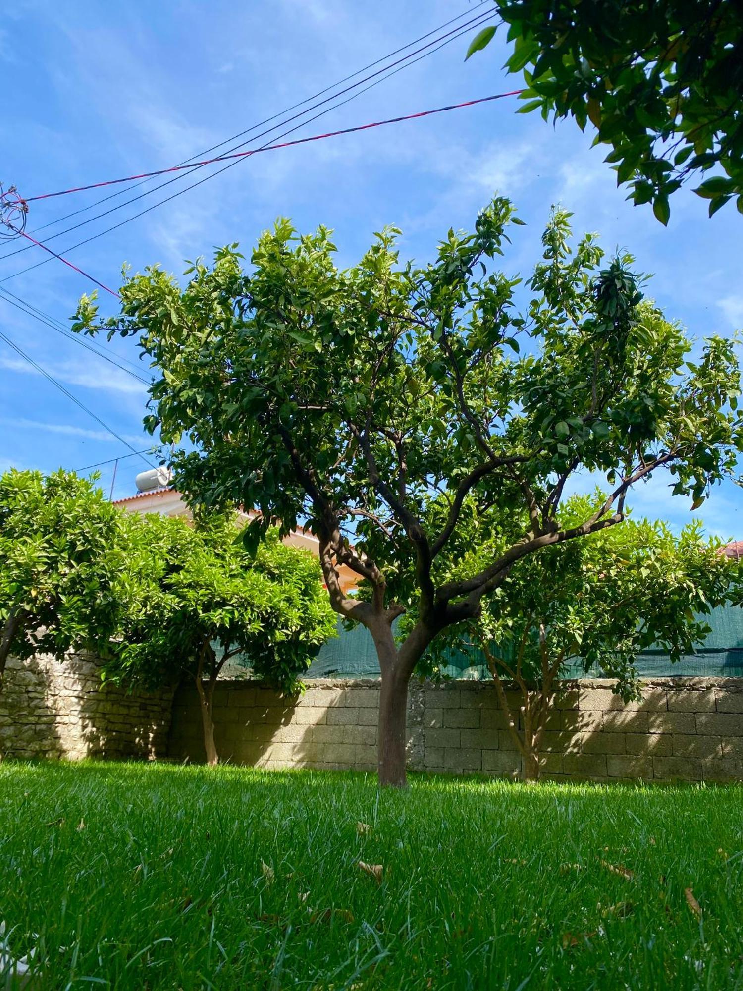 Villa Berat Kültér fotó