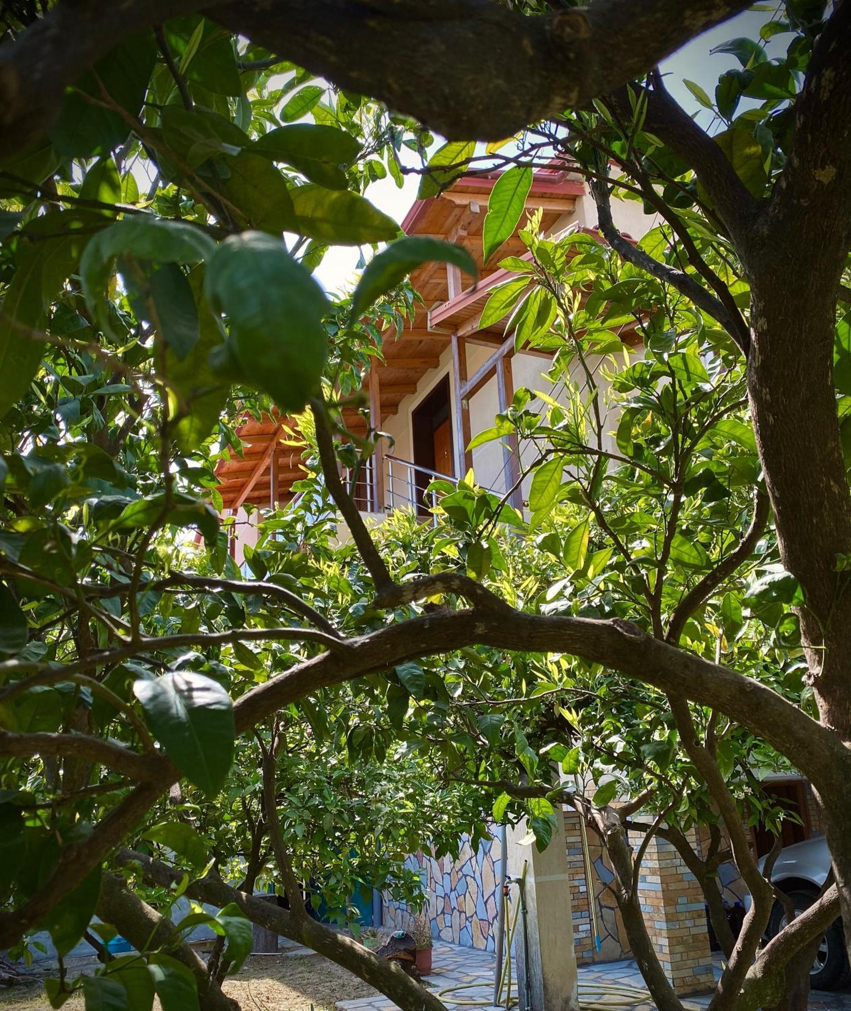 Villa Berat Kültér fotó